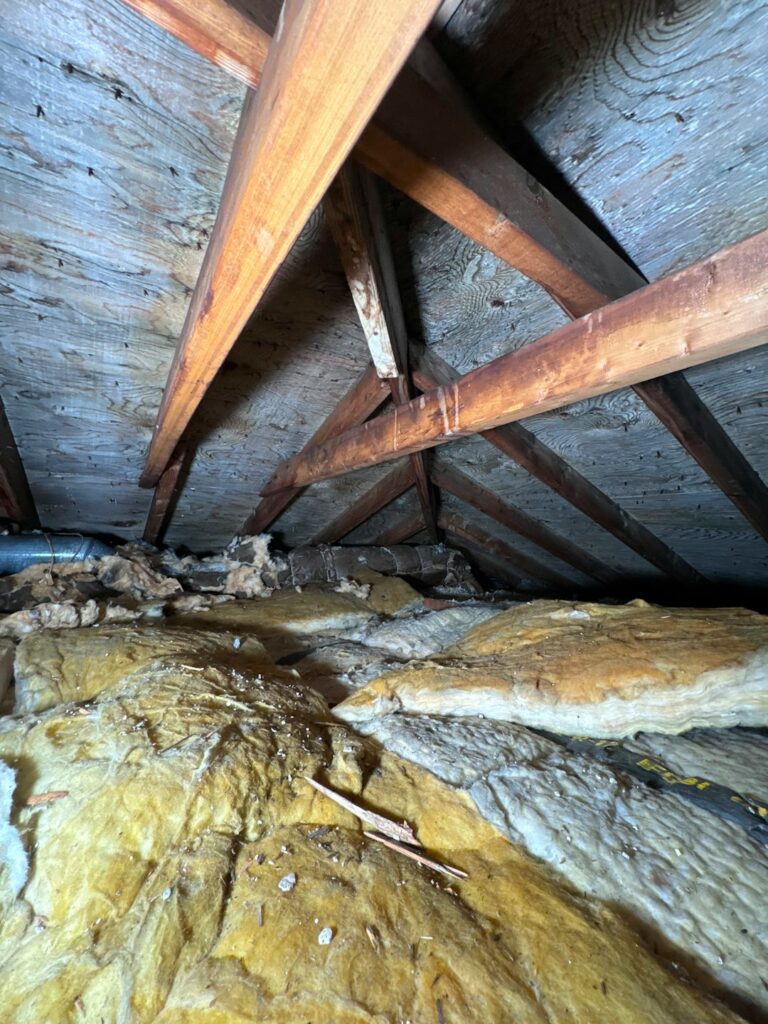 A homeowner examines thick attic insulation beside roof rafters, soffit baffles, and a sealed attic access panel.